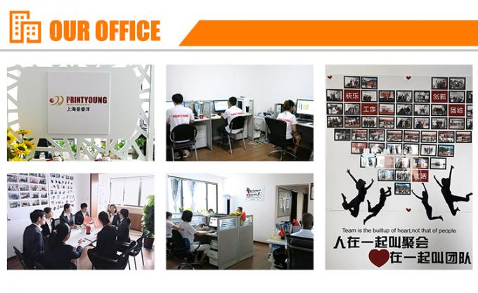 PRY-700E Macchina automatica di stampaggio a caldo su foglio 11