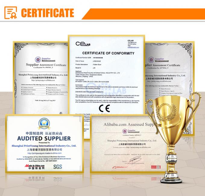 PRY-700E Macchina automatica di stampaggio a caldo su foglio 12