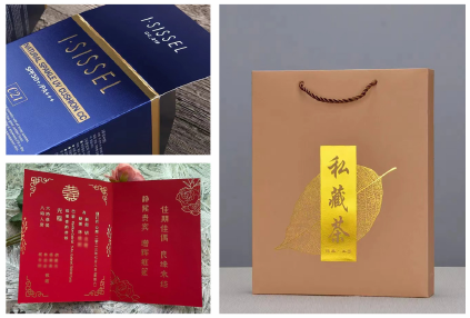 PRY-95 macchina automatica per stampaggio a caldo con servo 6