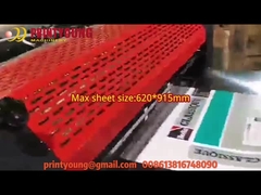 Macchina ricoprente UV di verniciatura automatica o online dei semi di serie di SGUV del punto pieno